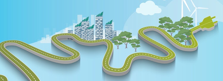 Expert guides and resources