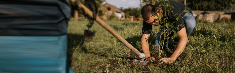 Expert guides and resources