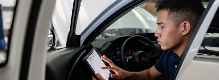 Expert guides and resources