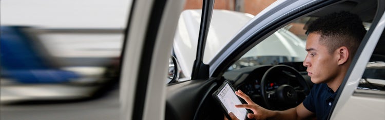 Expert guides and resources