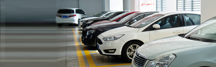 Expert guides and resources