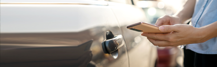 Expert guides and resources