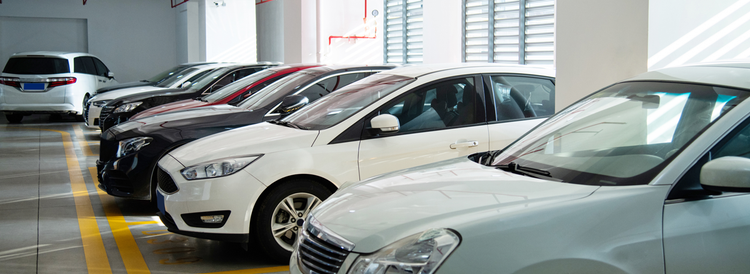 Expert guides and resources