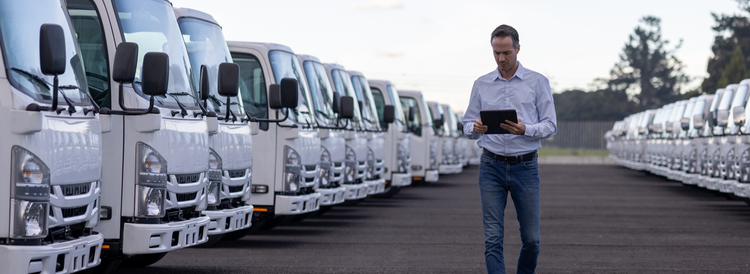 Expert guides and resources