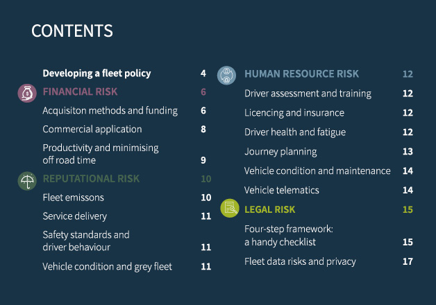Managing Fleet Risk
